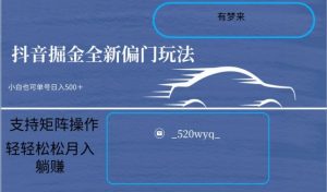 全新抖音倔金项目5.0，小白在家即可轻松操作，单号日入500+支持矩阵操作-淘金日记