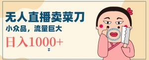 无人冷门品直播新玩法，通过卖菜刀日入1000+【揭秘】-淘金日记