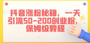 抖音涨粉秘籍,一天引流50-200创业粉,保姆级教程【揭秘】-淘金日记