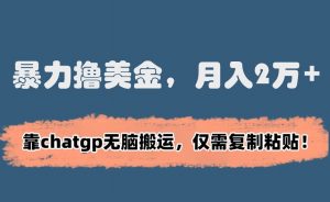 暴力撸美金，月入2万+！靠chatgp无脑搬运，仅需复制粘贴【揭秘】-淘金日记