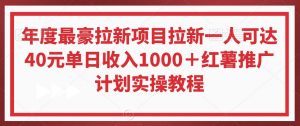 年度最豪拉新项目拉新一人可达40元单日收入1000＋红薯推广计划实操教程【揭秘】-淘金日记