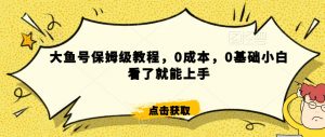 怎么样靠阿里大厂撸金，背靠大厂日入2000+，大鱼号保姆级教程，0成本，0基础小白看了就能上手【揭秘】-淘金日记