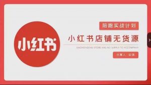 安琪-小红书店铺无货源实战,开店到售后全流程操作-淘金日记
