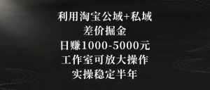 利用淘宝公域+私域差价掘金，日赚1000-5000元，工作室可放大操作，实操稳定半年【揭秘】-淘金日记