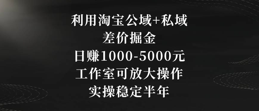 利用淘宝公域+私域差价掘金,日赚1000-5000元,工作室可放大操作,实操稳定半年【揭秘】-淘金日记