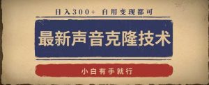 最新声音克隆技术，有手就行，自用变现都可，日入300+【揭秘】-淘金日记