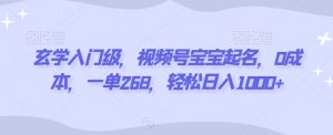 玄学入门级，视频号宝宝起名，0成本，一单268，轻松日入1000+【揭秘】-淘金日记