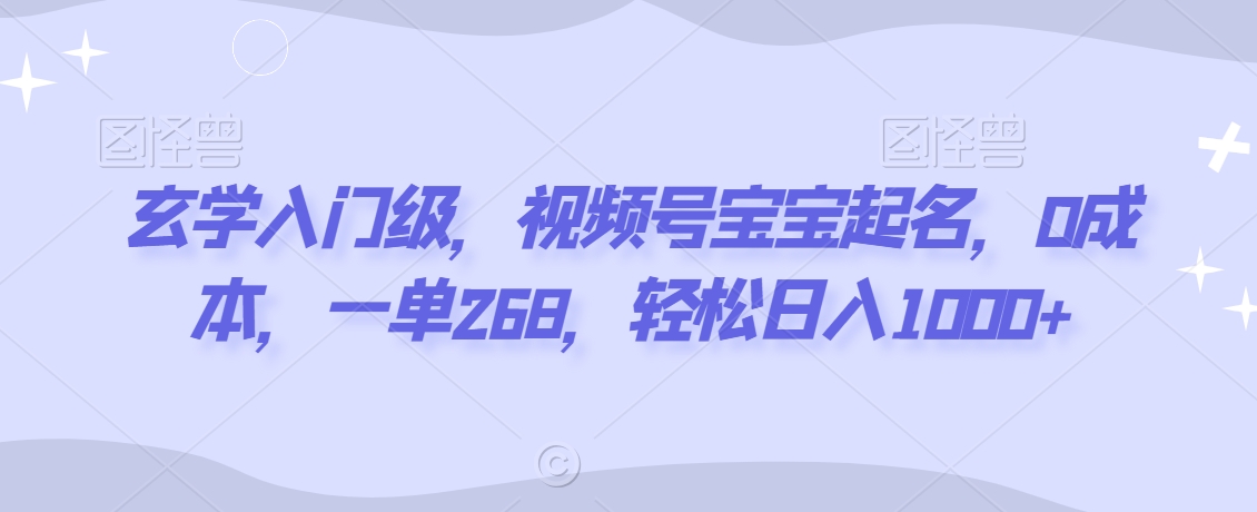 玄学入门级,视频号宝宝起名,0成本,一单268,轻松日入1000+【揭秘】-淘金日记