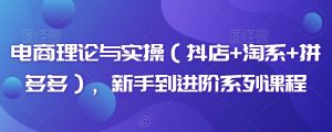 电商理论与实操(抖店+淘系+拼多多),新手到进阶系列课程-淘金日记