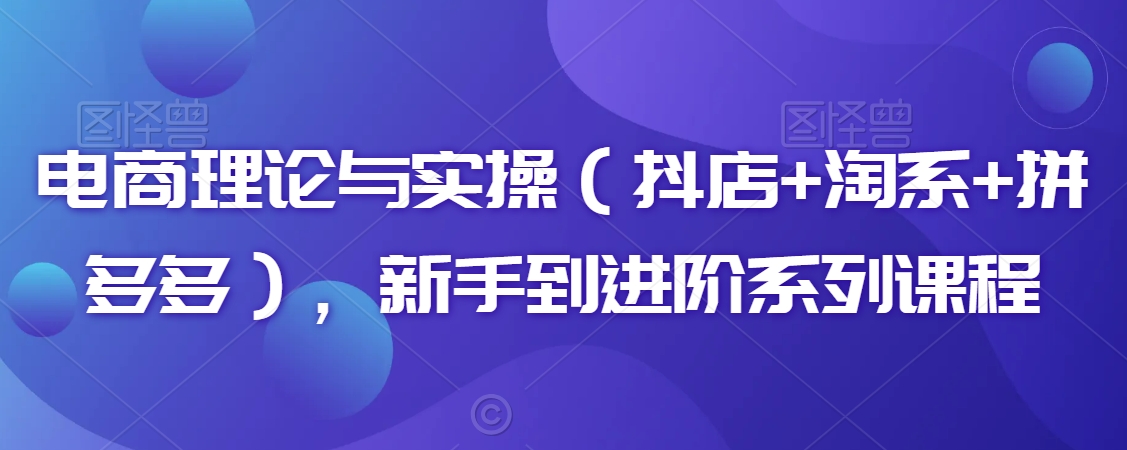电商理论与实操(抖店+淘系+拼多多),新手到进阶系列课程-淘金日记