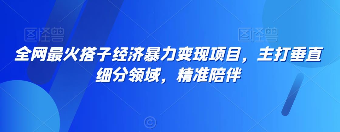 全网最火搭子经济暴力变现项目，主打垂直细分领域，精准陪伴【揭秘】-淘金日记