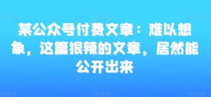 某公众号付费文章:难以想象,这篇狠辣的文章,居然能公开出来-淘金日记