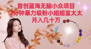 首创蓝海无脑小众项目，2分钟暴力吸粉小姐姐富太太，月入几十万【揭秘】-淘金日记