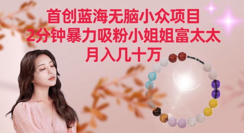 首创蓝海无脑小众项目，2分钟暴力吸粉小姐姐富太太，月入几十万【揭秘】-淘金日记