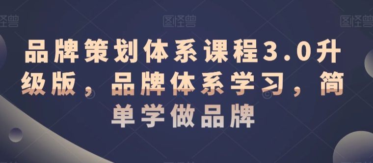 品牌策划体系课程3.0升级版，品牌体系学习，简单学做品牌-淘金日记