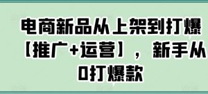 电商新品从上架到打爆【推广+运营】,新手从0打爆款-淘金日记