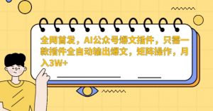 全网首发,AI公众号爆文插件,只需一款插件全自动输出爆文,矩阵操作,月入3W+【揭秘】-淘金日记