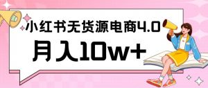 小红书新电商实战，无货源实操从0到1月入10w+联合抖音放大收益【揭秘】-淘金日记