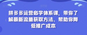 拼多多运营必学体系课，带你了解最新流量获取方法、帮助你降低推广成本-淘金日记
