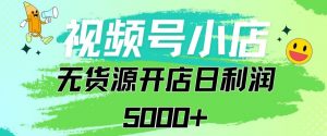 视频号无货源小店从0到1日订单量千单以上纯利润稳稳5000+【揭秘】-淘金日记