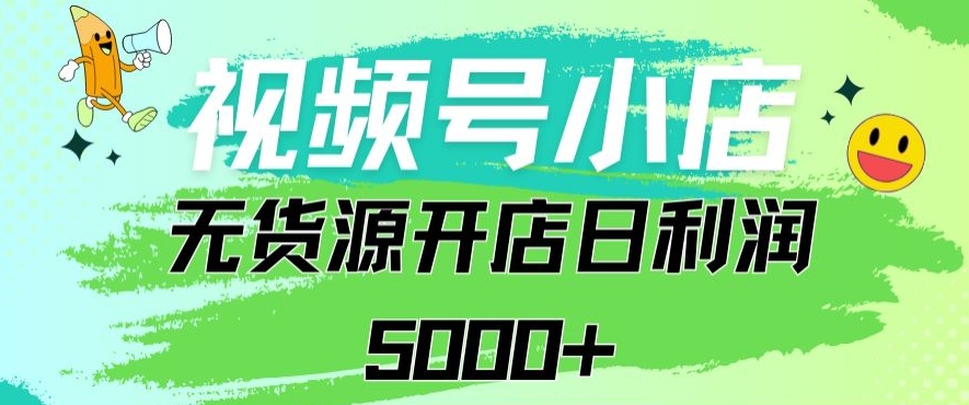 视频号无货源小店从0到1日订单量千单以上纯利润稳稳5000+【揭秘】-淘金日记