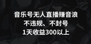 音乐号无人直播赚音浪，不违规、不封号，1天收益300+【揭秘】-淘金日记