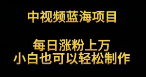 中视频蓝海项目，解读英雄人物生平，每日涨粉上万，小白也可以轻松制作，月入过万不是梦【揭秘】-淘金日记