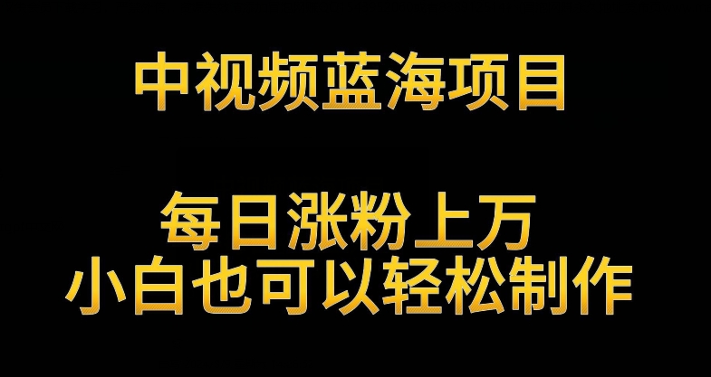 中视频蓝海项目,解读英雄人物生平,每日涨粉上万,小白也可以轻松制作,月入过万不是梦【揭秘】-淘金日记