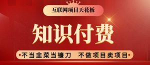 2024互联网项目天花板,新手小白也可以通过知识付费月入10W,实现财富自由【揭秘】-淘金日记
