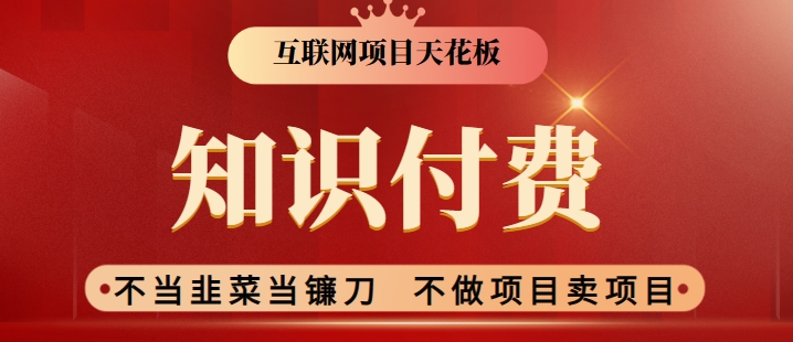 2024互联网项目天花板,新手小白也可以通过知识付费月入10W,实现财富自由【揭秘】-淘金日记