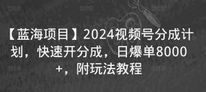【蓝海项目】2024视频号分成计划，快速开分成，日爆单8000+，附玩法教程-淘金日记