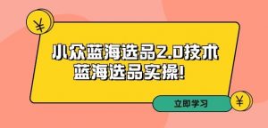 拼多多培训第33期:小众蓝海选品2.0技术-蓝海选品实操!-淘金日记