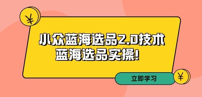 拼多多培训第33期：小众蓝海选品2.0技术-蓝海选品实操！-淘金日记