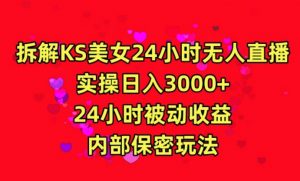 利用快手24小时无人美女直播,实操日入3000,24小时被动收益,内部保密玩法【揭秘】-淘金日记