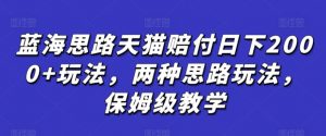 蓝海思路天猫赔付日下2000+玩法,两种思路玩法,保姆级教学【仅揭秘】-淘金日记