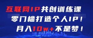 互联网IP共创训练课,零门槛零基础打造个人IP,月入10w+不是梦【揭秘】-淘金日记