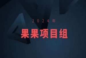 2024年果果项目组项目合集-果果最新项目-淘金日记