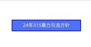 24年315暴力引流方针-淘金日记