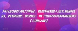 月入30的万暴力单品,看看有钱是人怎么搞到钱的,比看除害三更适合一每个还没财有务自由的你【付费文章】-淘金日记