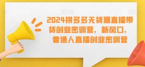 2024拼多多无货源直播带货创业密训营，新风口，普通人直播创业密训营-淘金日记