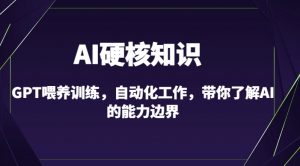 AI硬核知识-GPT喂养训练,自动化工作,带你了解AI的能力边界(10节课)-淘金日记