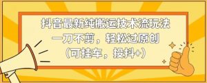抖音最新纯搬运技术流玩法,一刀不剪,轻松过原创(可挂车,投抖+)【揭秘】-淘金日记
