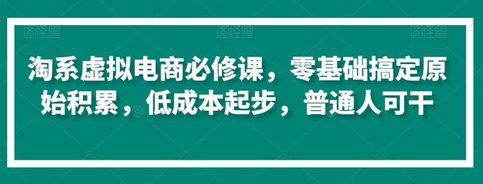 淘系虚拟电商必修课,零基础搞定原始积累,低成本起步,普通人可干-淘金日记