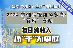 【私域流量最值钱】把“男粉”流量打到手,你便有无数种方法可以轻松变现,每日纯收入以“千”为单位-淘金日记