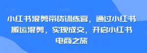 小红书混剪带货训练营，通过小红书搬运混剪，实现成交，开启小红书电商之旅-淘金日记