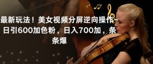 最新玩法！美女视频分屏逆向操作~日引600加色粉，日入700加，条条爆【揭秘】-淘金日记