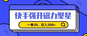 信息差赚钱项目,快手强开磁力聚星,一单20,日入200+【揭秘】-淘金日记