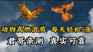 动物超燃混剪，每天轻松5张，剪辑简单大家爱看【揭秘】-淘金日记