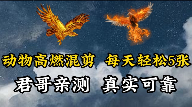 动物超燃混剪，每天轻松5张，剪辑简单大家爱看【揭秘】-淘金日记