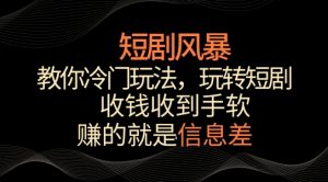 短剧风暴,教你冷门玩法,玩转短剧,收钱收到手软【揭秘】-淘金日记